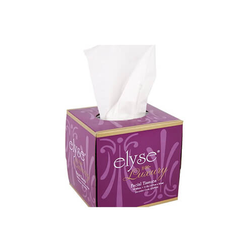 Facial Tissue Luxury Cube Box 2ply 90s 24 Per Box.